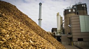 Η Ευρώπη αντιμέτωπη με έλλειψη πρώτων υλών για τα βιοκαύσιμα