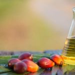 Οι εισαγωγές φοινικέλαιου στην ΕΕ συνεχίζουν την πτωτική πορεία