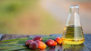 Οι εισαγωγές φοινικέλαιου στην ΕΕ συνεχίζουν την πτωτική πορεία