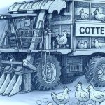 Βαμβάκι με 0,37€: Η χρονιά που οι μηχανές κινδυνεύουν να γίνουν… κοτέτσια