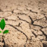 Αποτέλεσμα της COP30: αργή πρόοδος, αλλά ανεπαρκής για την αντιμετώπιση του επείγοντος χαρακτήρα της κλιματικής κρίσης