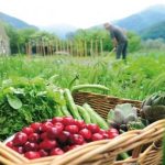 Σαρωτικοί έλεγχοι σε βιολογικά: Αναστολή άδειας και υψηλά πρόστιμα σε τρεις φορείς πιστοποίησης