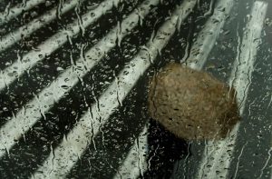 Καιρός: Πού αναμένονται βροχές και καταιγίδες