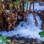 Αργολίδα: Ξεκίνησαν οι αιτήσεις ενίσχυσης για τις ζημιές από το χαλάζι