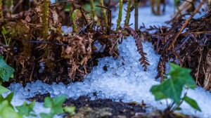 Αργολίδα: Ξεκίνησαν οι αιτήσεις ενίσχυσης για τις ζημιές από το χαλάζι