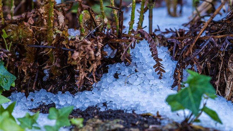 Αργολίδα: Ξεκίνησαν οι αιτήσεις ενίσχυσης για τις ζημιές από το χαλάζι