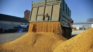 Αψηφούν Πολωνία, Ουγγαρία και Σλοβακία την αγροτική συμφωνία ΕΕ-Ουκρανίας, διατηρούν  μονομερείς απαγορεύσεις