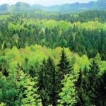 to-pekino-epitachynei-ton-eksygchronismo-ton-kratikon-monadon-dasokomias-276585