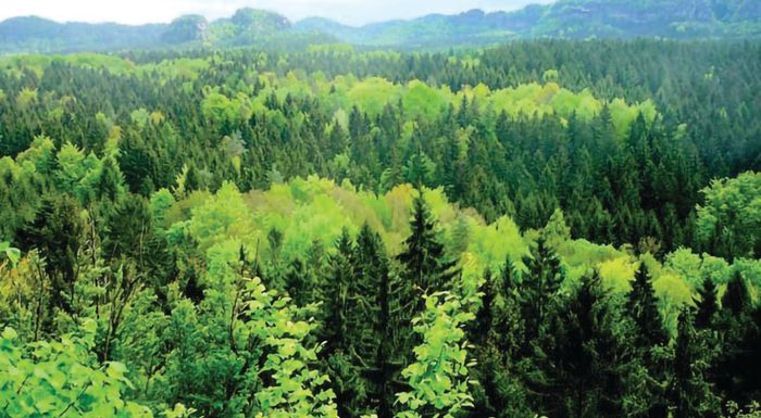 to-pekino-epitachynei-ton-eksygchronismo-ton-kratikon-monadon-dasokomias-276585