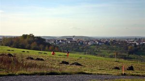 Άλλα 70 δέντρα φυτεύτηκαν στον Δ. Τρικκαίων