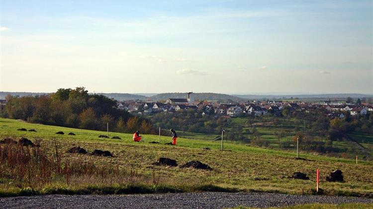 Άλλα 70 δέντρα φυτεύτηκαν στον Δ. Τρικκαίων