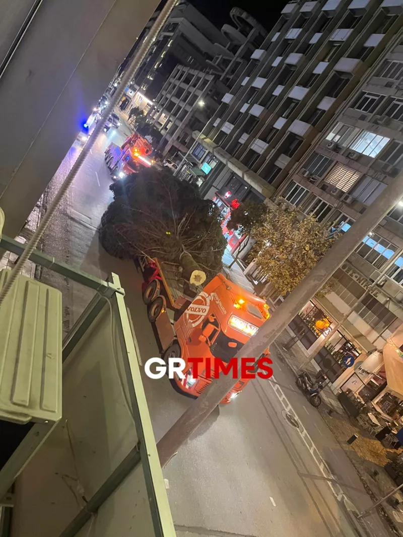 Έφτασε στη Θεσσαλονίκη το 18 μέτρων χριστουγεννιάτικο δέντρο