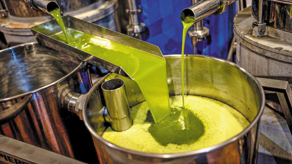 ΥΠΑΑΤ: Οδηγίες καλών πρακτικών για όλα τα στάδια της ελαιοπαραγωγής