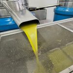 Ελαίας Καρπός