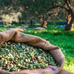 Δυσχερής η εφαρμογή Ψηφιακού Δελτίου Αποστολής στον αγρό