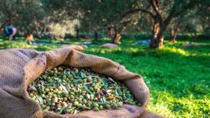 Δυσχερής η εφαρμογή Ψηφιακού Δελτίου Αποστολής στον αγρό