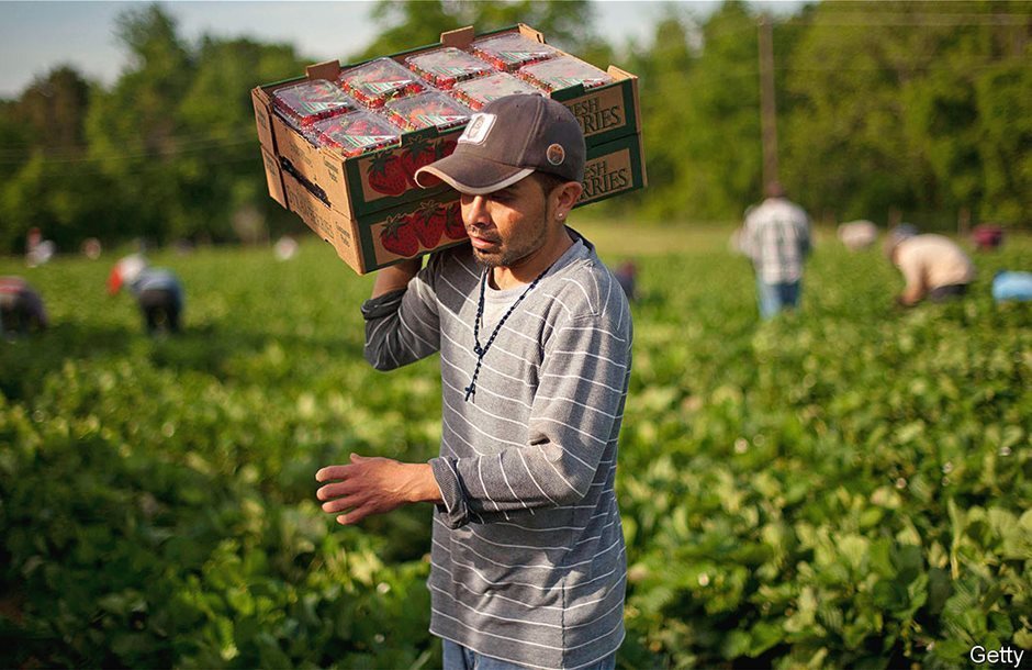 Υπό τον συντονισμό ΕΘΕΑΣ η έναρξη της συμφωνίας με Αίγυπτο για εργάτες γης