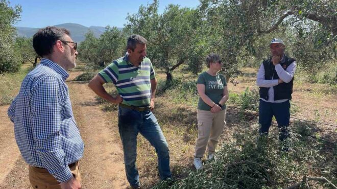 οι-άγνωστοι-πρωταθλητές-της-ελληνι-563667646