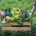 Υπερψηφίστηκε έκθεση ευρωβουλευτών για ταχύτερη έγκριση των βιολογικών παραγόντων ελέγχου