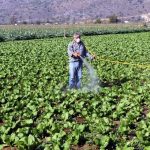 ypaat-dimosieftike-i-kya-gia-tin-diacheirisi-ton-kenon-syskevasion-fytoprostateftikon-proionton-104170