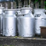 Με 1,65 ευρώ στο Νούσια 4.500 τόνοι πρόβειο γάλα από τις «Φάρμες Λιβαδίου» - Τυροκόμος