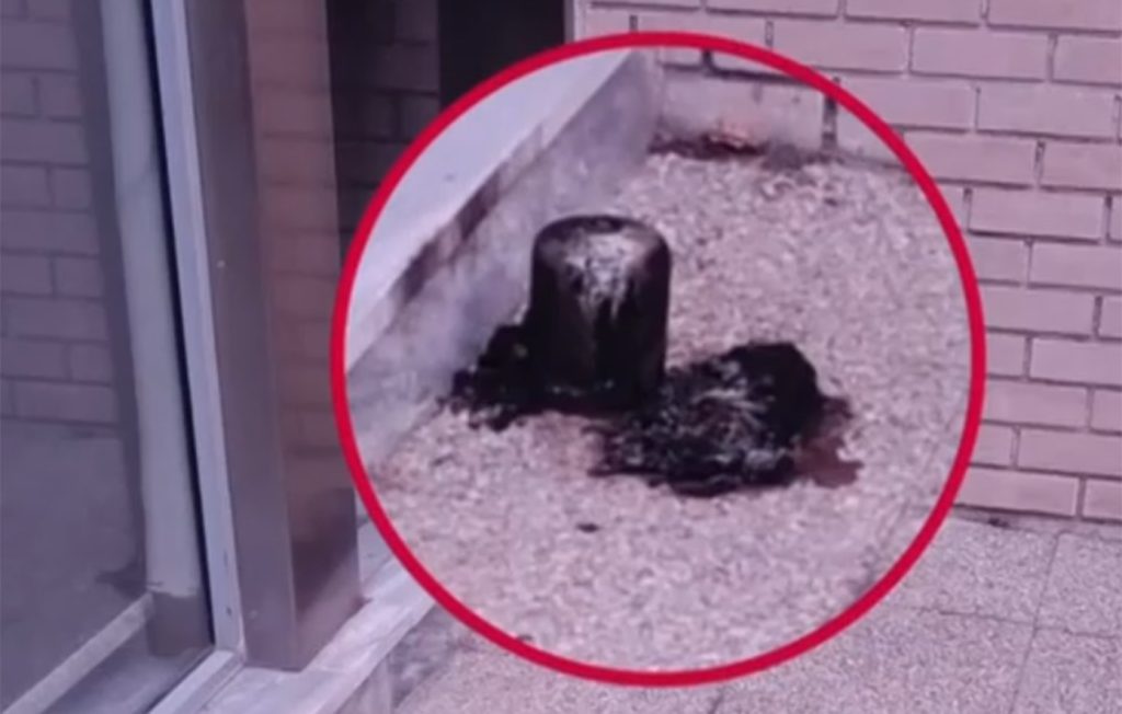 Οι «Πυρήνες Άμεσης Δράσης» ανέλαβαν την εμπρηστική επίθεση στα γραφεία του σάιτ της «Ομάδας Αλήθειας»