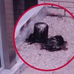 Οι «Πυρήνες Άμεσης Δράσης» ανέλαβαν την εμπρηστική επίθεση στα γραφεία του σάιτ της «Ομάδας Αλήθειας»