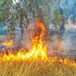 “Καμπανάκι” για υπερβάσεις αιωρούμενων σωματιδίων σε Λάρισα, Τρίκαλα, Καρδίτσα λόγω καύσης σιτοκαλαμιών
