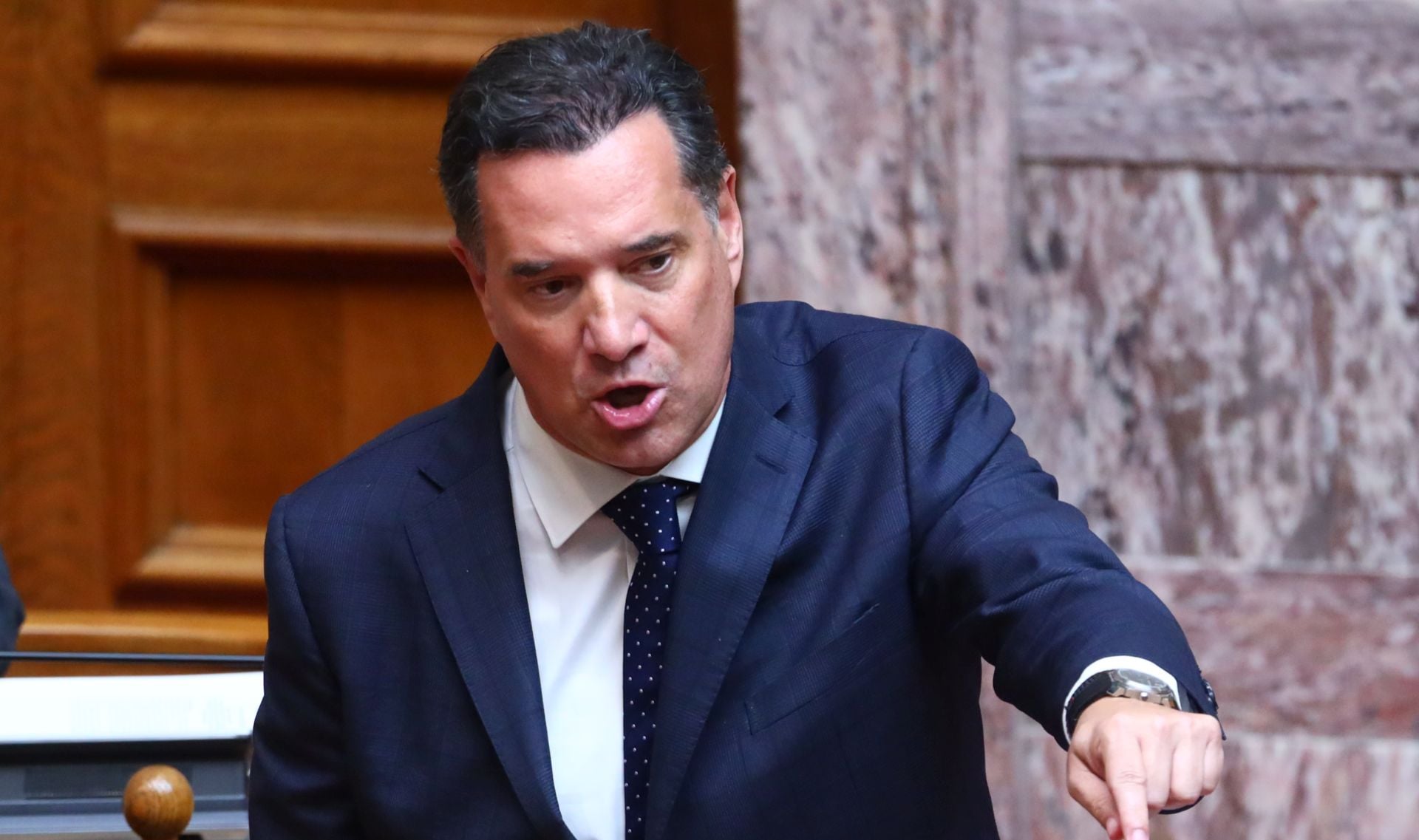 Γεωργιάδης: Ο απίστευτος ισχυρισμός για τον «Χασάπη» - Αντιπαράθεση με Βελόπουλο