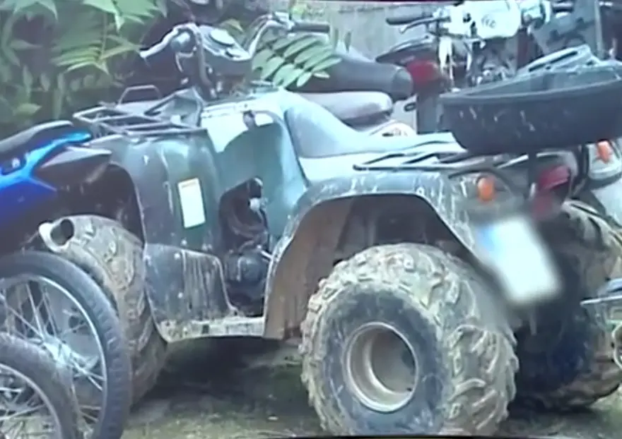 Αχαΐα: Η γουρούνα καταπλάκωσε τον μικρό Ανδρέα - Πώς αποκαλύφθηκε η αλήθεια