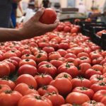 «Καμπανάκι» Ευρωπαίων παραγωγών φρούτων και λαχανικών για πιθανή αναθεώρηση συμφωνίας εμπορίου με το Μαρόκο