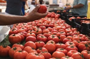 «Καμπανάκι» Ευρωπαίων παραγωγών φρούτων και λαχανικών για πιθανή αναθεώρηση συμφωνίας εμπορίου με το Μαρόκο