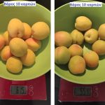 Μετασυλλεκτικές φροντίδες στα βερίκοκα από την Timac Agro | ΛΥΔΑ