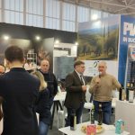 Η απροσδόκητη ελαιοκαλλιέργεια στην Καλαβρία: ποιότητα που ξεπερνά την παράδοση