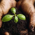 Το 3D Μικροβίωμα Εδάφους: το νέο “Google Maps” της φύσης