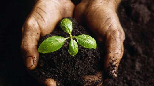 Το 3D Μικροβίωμα Εδάφους: το νέο “Google Maps” της φύσης