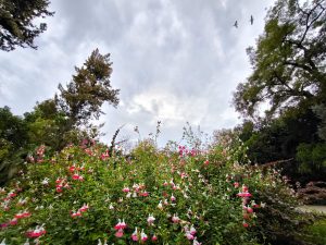 Βελτιωμένος ο καιρός - Έως τους 22 βαθμούς η θερμοκρασία