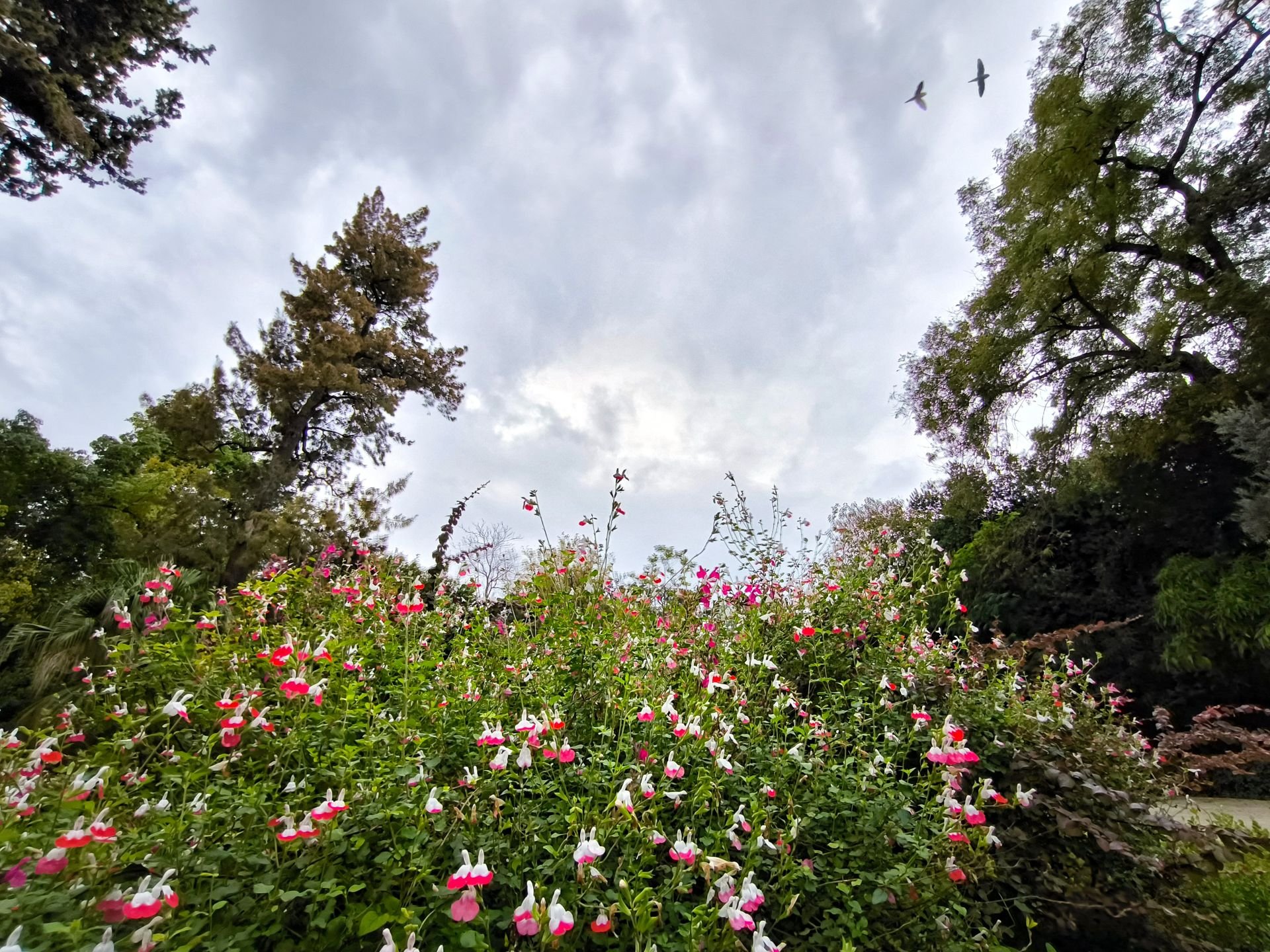 Βελτιωμένος ο καιρός - Έως τους 22 βαθμούς η θερμοκρασία