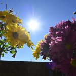 Αίθριος καιρός με ανεβασμένη θερμοκρασία