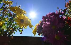 Αίθριος καιρός με ανεβασμένη θερμοκρασία