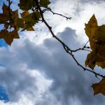 Καιρός: Συννεφιά και πτώση της θερμοκρασίας