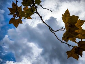 Καιρός: Συννεφιά και πτώση της θερμοκρασίας