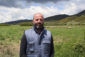 Με τιμή 1,60 συμφωνήθηκαν 1.500 τόνοι πρόβειο γάλα της Καρυάς Ολύμπου στα Ελληνικά Γαλακτοκομεία - Τυροκόμος