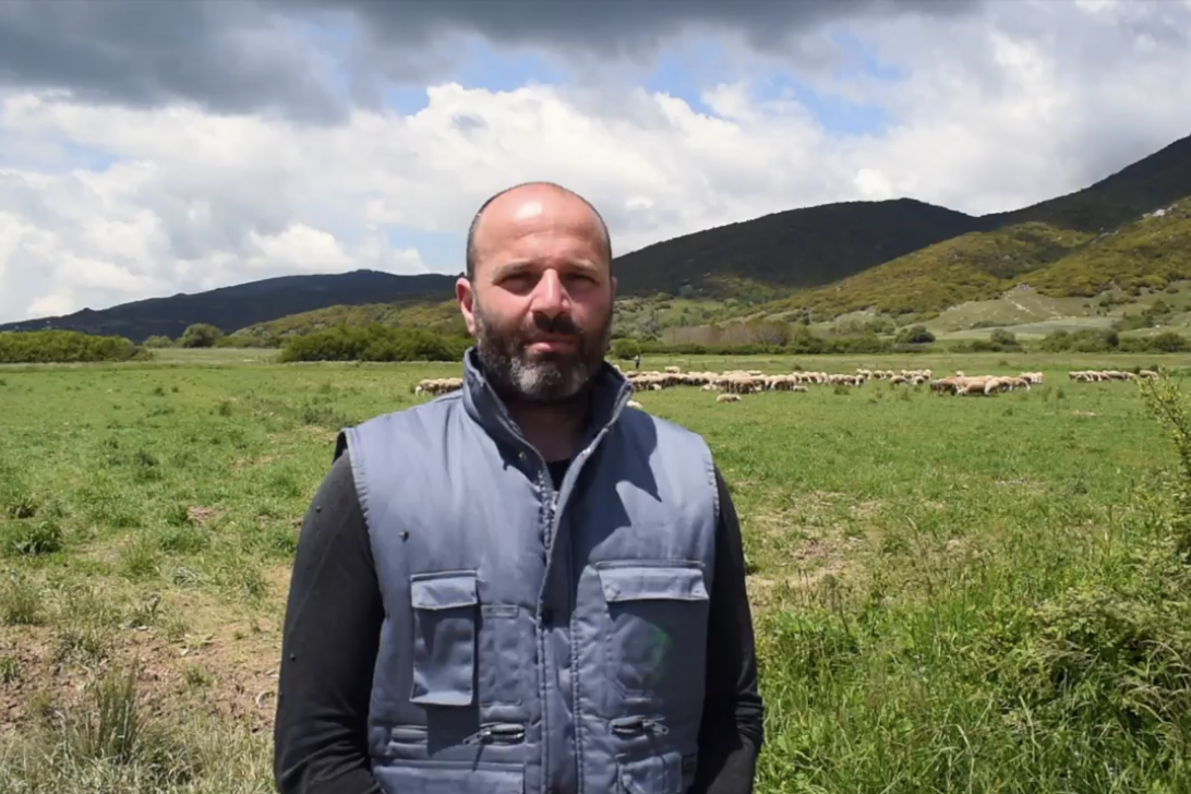 Με τιμή 1,60 συμφωνήθηκαν 1.500 τόνοι πρόβειο γάλα της Καρυάς Ολύμπου στα Ελληνικά Γαλακτοκομεία - Τυροκόμος