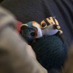 Τύλισος Ηρακλείου: Θρήνος για δίχρονο αγγελούδι που κατέρρευσε στην αγκαλιά της μαμάς του