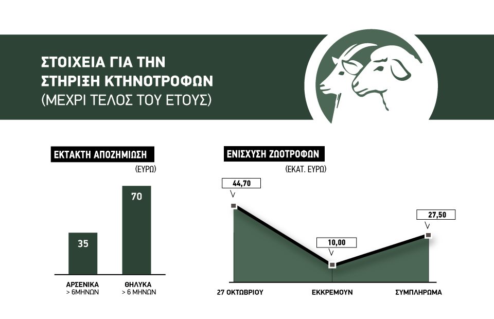 Μέχρι 31 Δεκεμβρίου έκτακτη ενίσχυση με 70 ευρώ για τα θηλυκά θανατωμένα πρόβατα και έξτρα ζωοτροφές