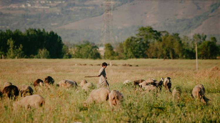 Κόκκαλης: Τροποποιείται η ΚΥΑ του 2021 για την κατανομή βοσκοτόπων