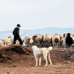 eneninta-esties-evlogias-stis-serres-nea-krousmata-kai-sti-nafpaktia-292475