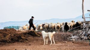 eneninta-esties-evlogias-stis-serres-nea-krousmata-kai-sti-nafpaktia-292475