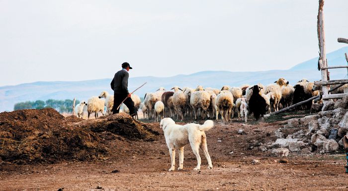 eneninta-esties-evlogias-stis-serres-nea-krousmata-kai-sti-nafpaktia-292475